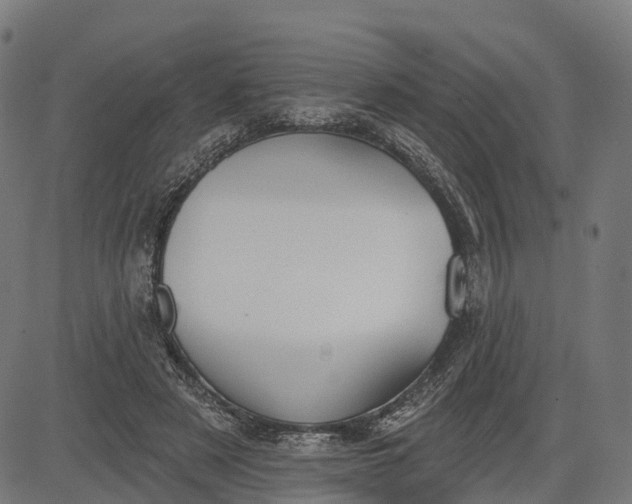 X0000082680497200702091636