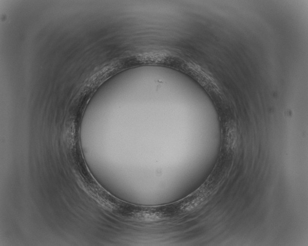 X0000082680498200702091636