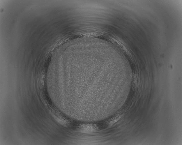 X0000082680499200702091636