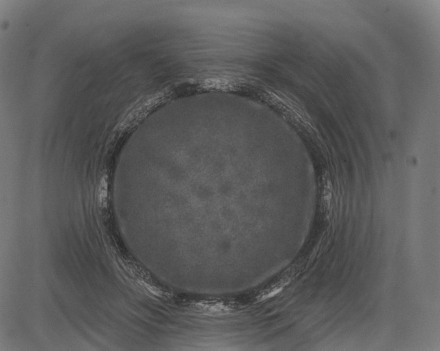 X0000082680502200702091636