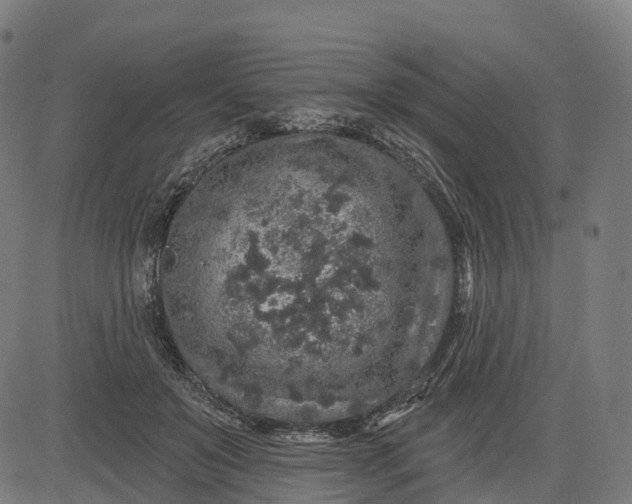 X0000082680503200702091636