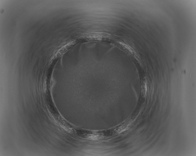 X0000082680504200702091636