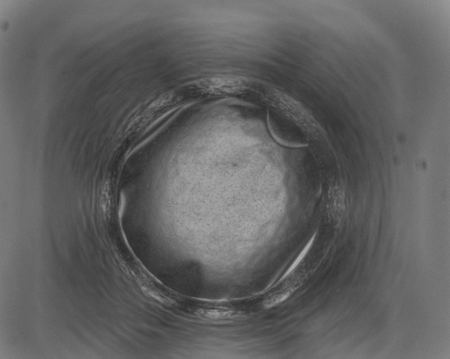 X0000082680506200702091636