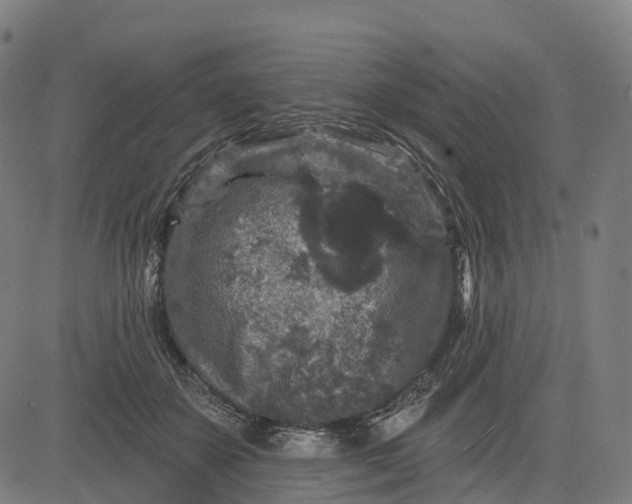 X0000082680507200702091636