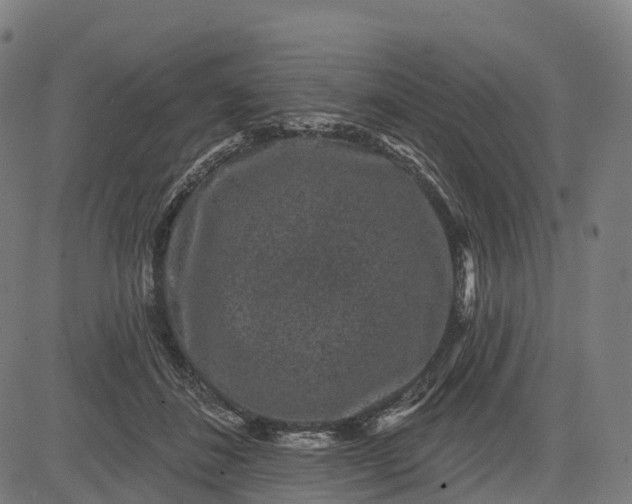 X0000082680508200702091636