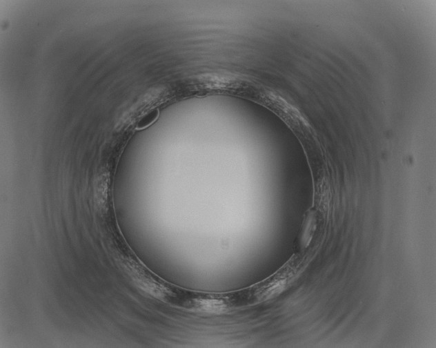 X0000082680509200702091636