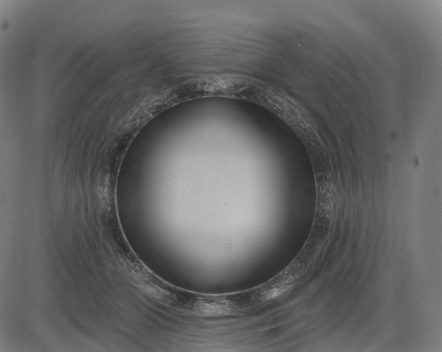 X0000082680510200702091635