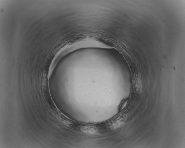 X0000082680511200702091635