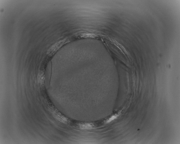 X0000082680513200702091635