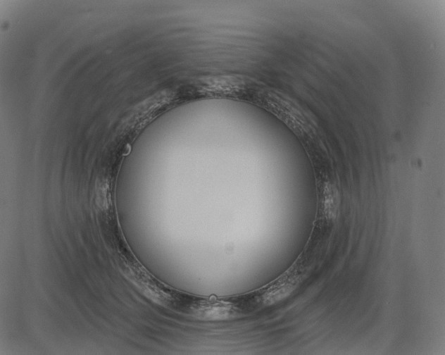 X0000082680514200702091635