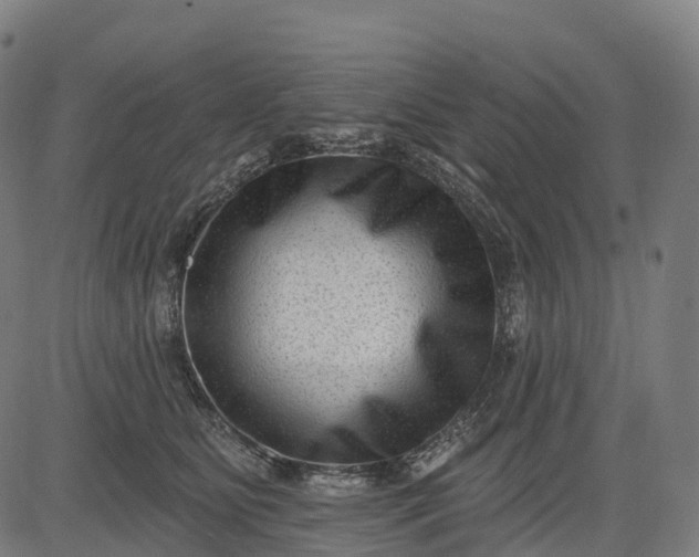 X0000082680515200702091635