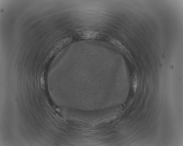 X0000082680516200702091635