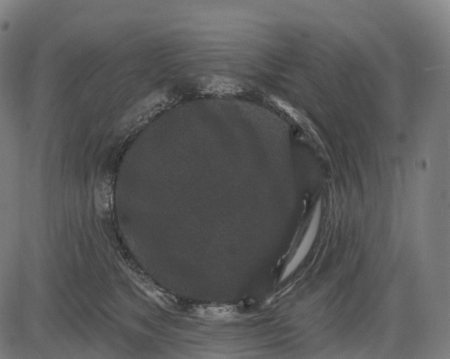 X0000082680517200702091635