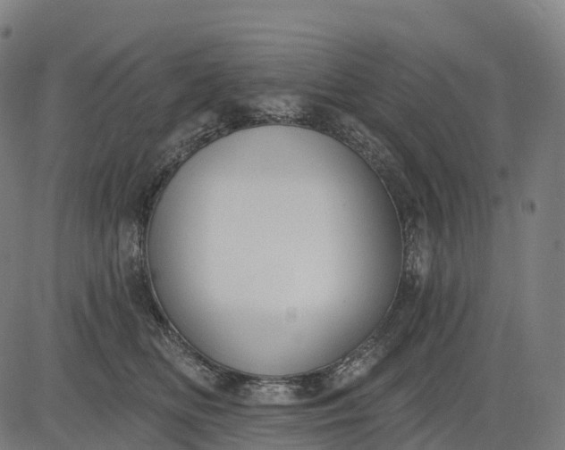 X0000082680518200702091635