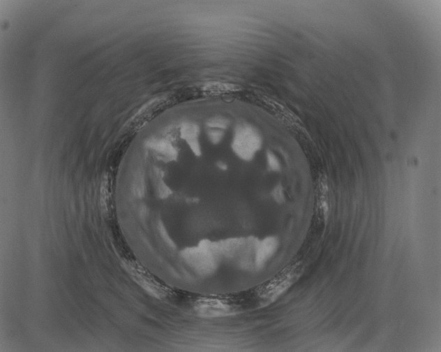 X0000082680519200702091635