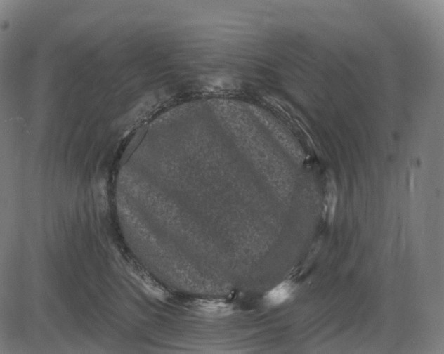 X0000082680520200702091635