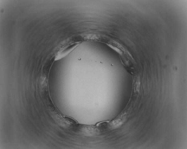 X0000082680521200702091635