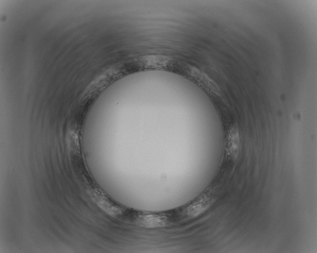 X0000082680522200702091635