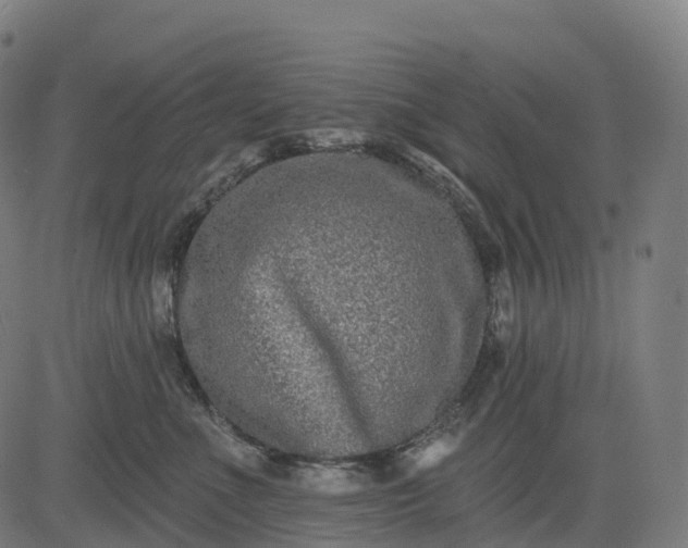 X0000082680523200702091635