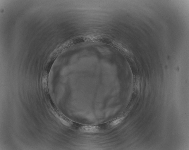 X0000082680526200702091635