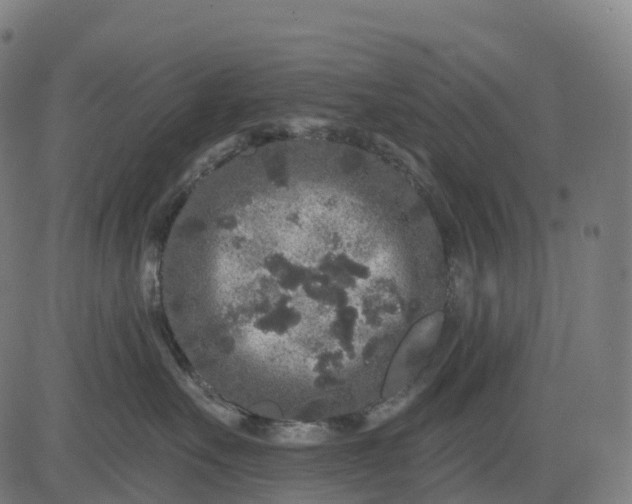 X0000082680527200702091635