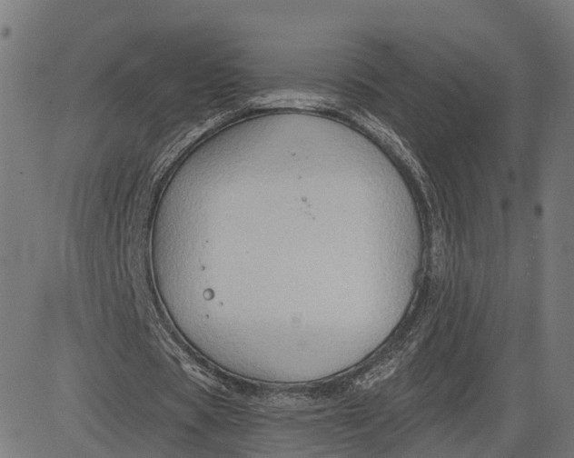 X0000082680529200702091634