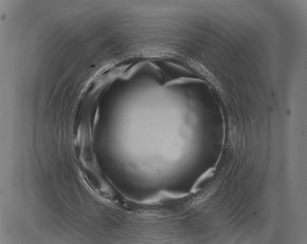 X0000082680530200702091634