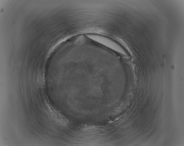 X0000082680531200702091634