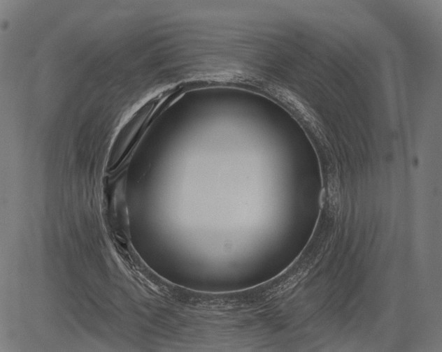 X0000082680532200702091634