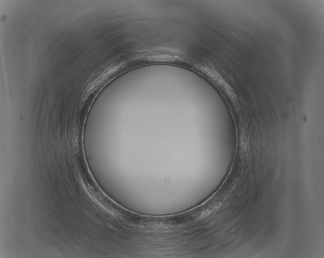 X0000082680533200702091634