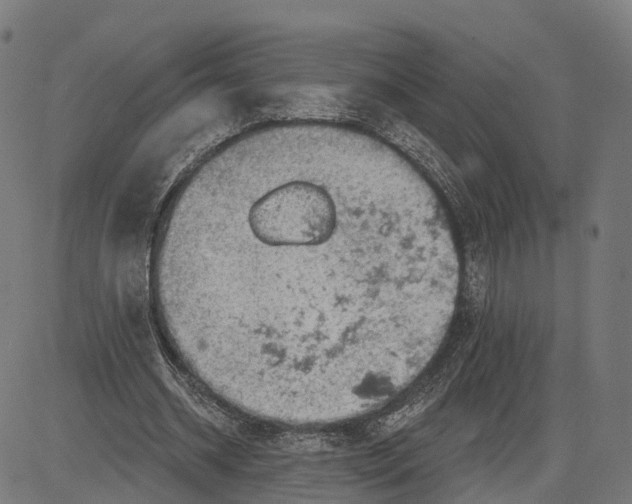 X0000082680534200702091634