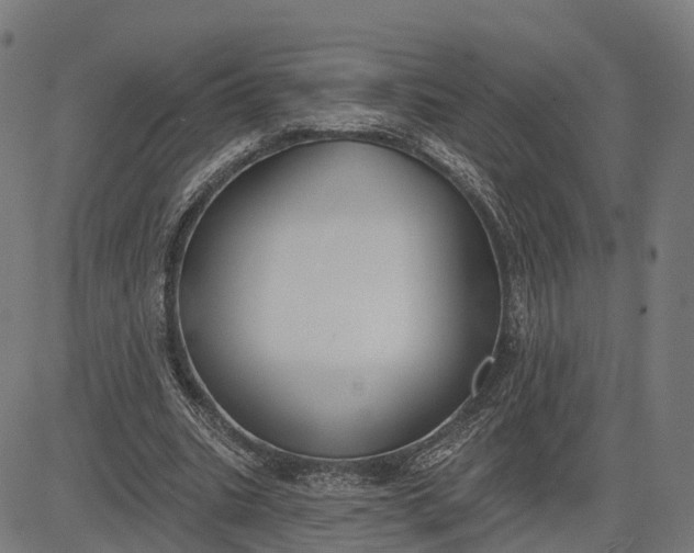 X0000082680535200702091635