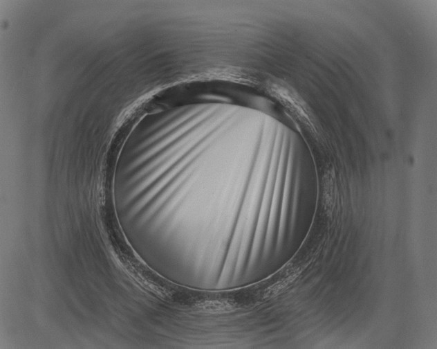 X0000082680536200702091635