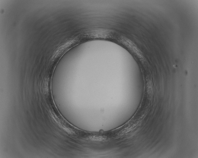 X0000082680537200702091635