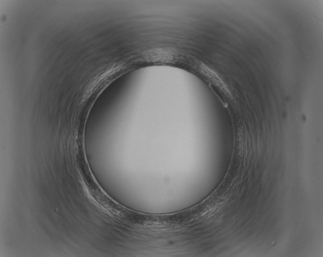 X0000082680538200702091635