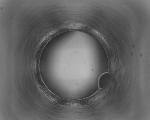 X0000082680539200702091635