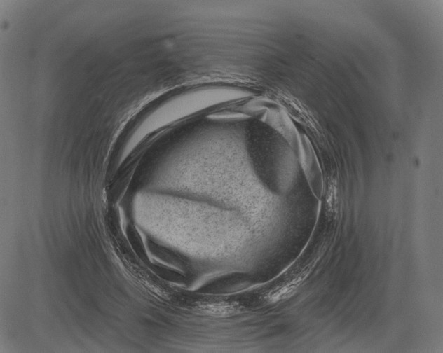 X0000082680540200702091635