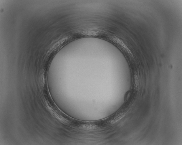 X0000082680541200702091635