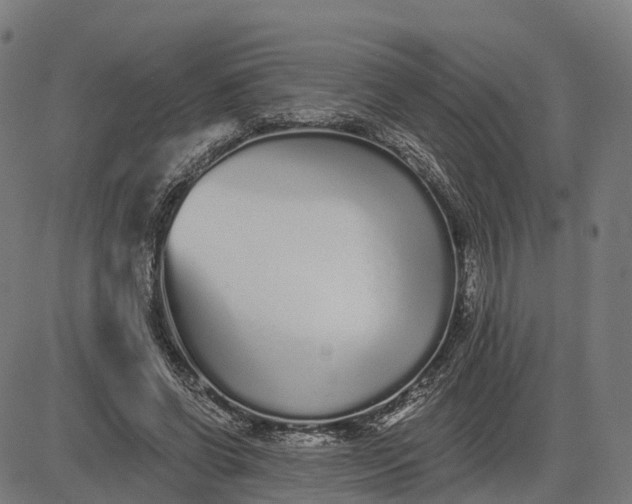 X0000082680542200702091635