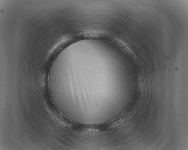 X0000082680543200702091635