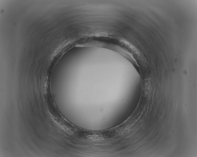 X0000082680544200702091635