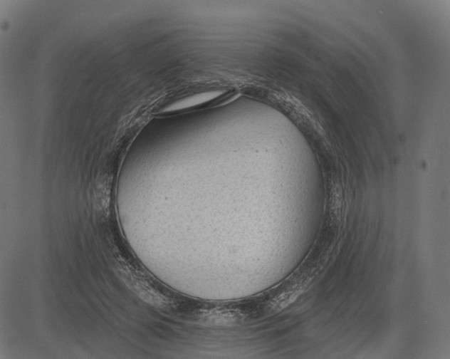 X0000082680545200702091635