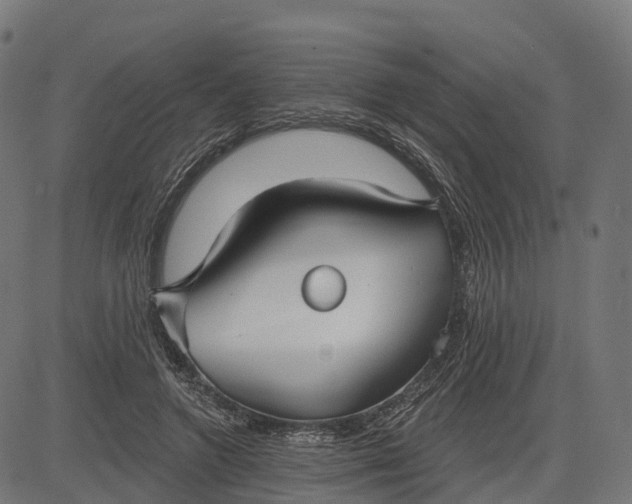 X0000082680546200702091635