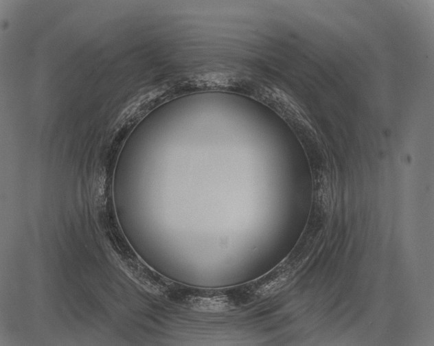 X0000082680548200702091635