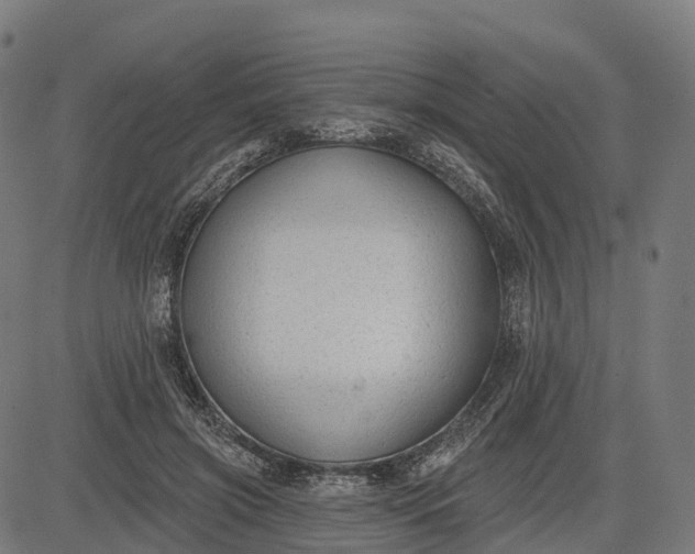 X0000082680549200702091635