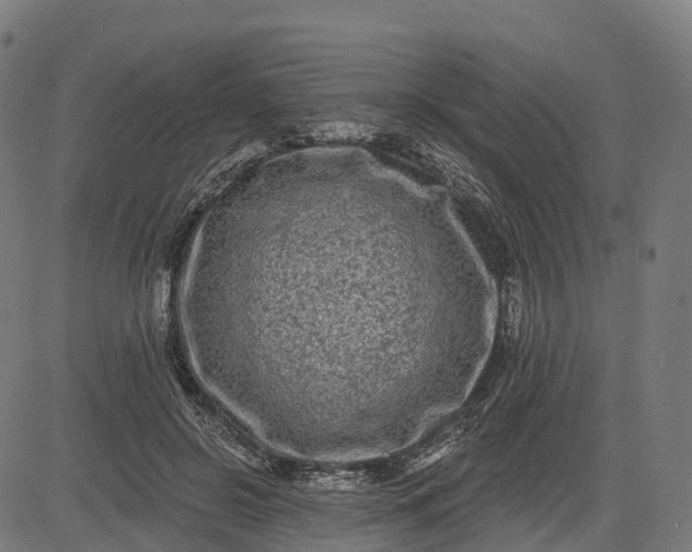 X0000082680550200702091635