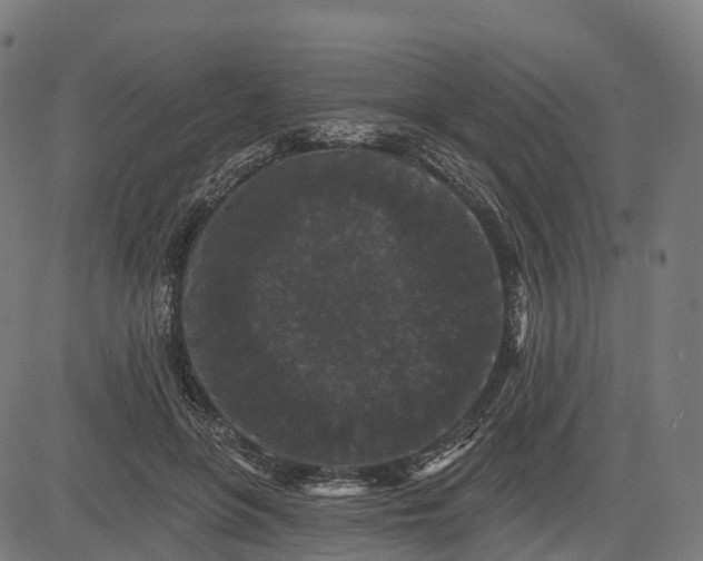 X0000082680551200702091635