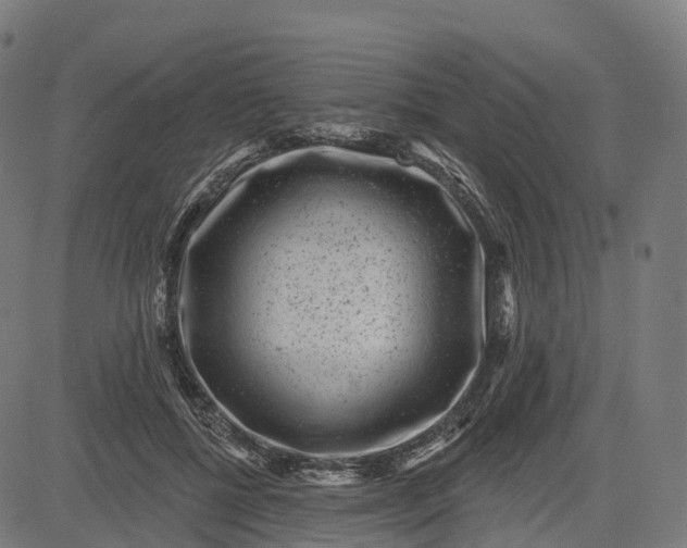 X0000082680552200702091635