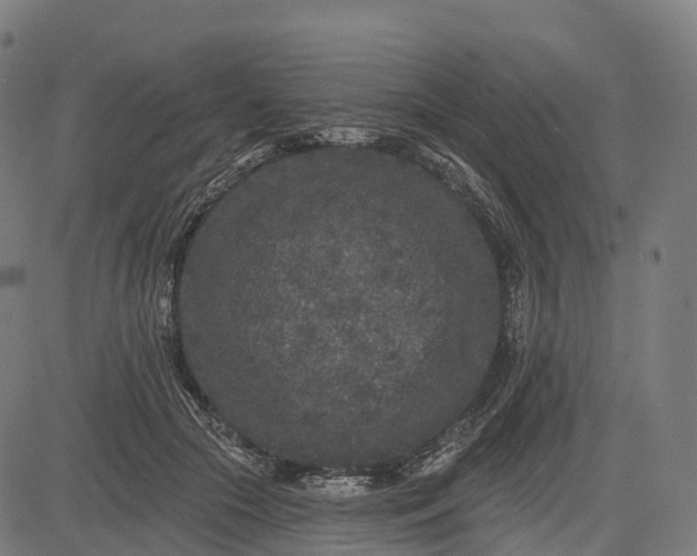 X0000082680553200702091635