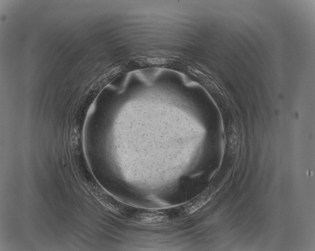 X0000082680555200702091635